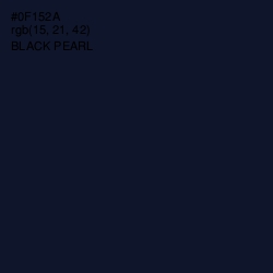 #0F152A - Black Pearl Color Image